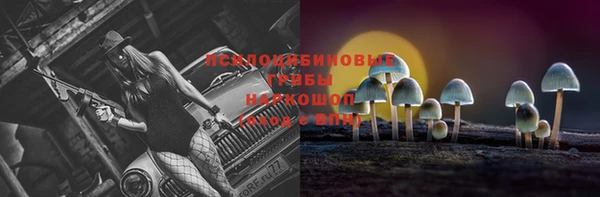 бошки Абинск