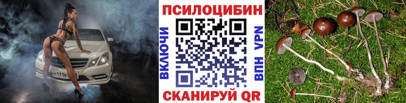 Галлюциногенные грибы прущие грибы  Инта 